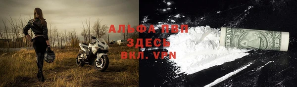 индика Абдулино