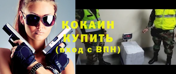 дживик Абинск