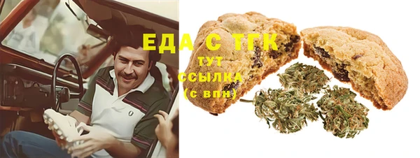 индика Абдулино